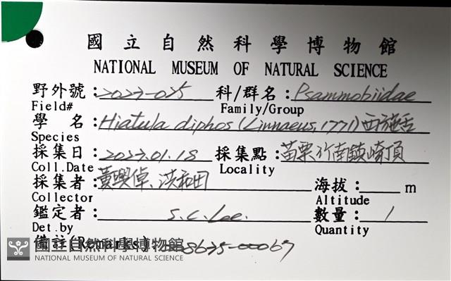 西施舌藏品圖，第4張