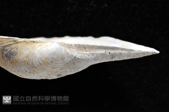 登錄號:004401-00123藏品圖，第4張