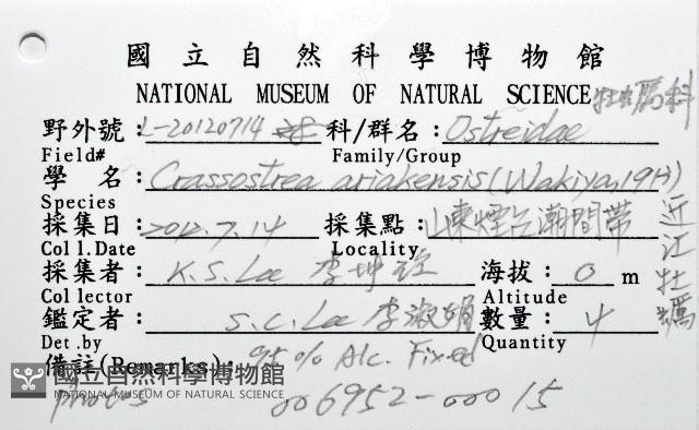 近江牡蠣藏品圖，第4張