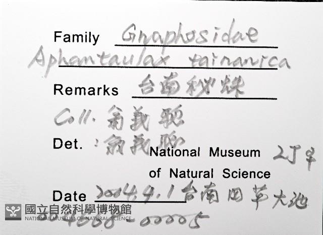 臺灣秘蛛藏品圖，第4張