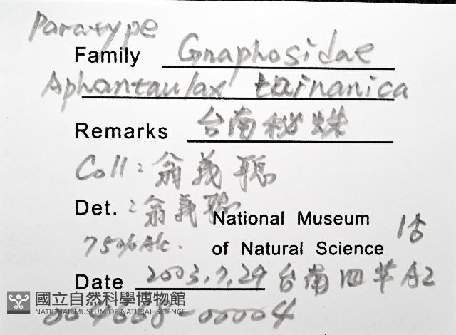 臺灣秘蛛藏品圖，第4張