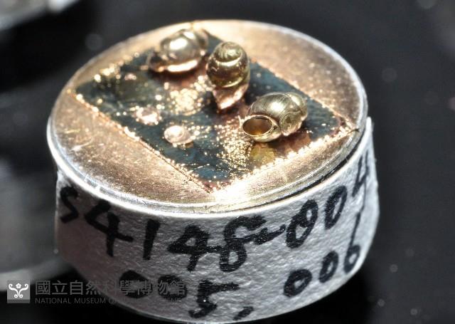 礁溪粟螺藏品圖，第4張