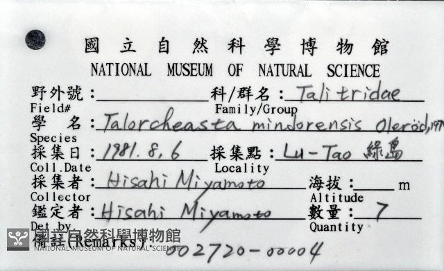 陸生端腳類藏品圖，第4張