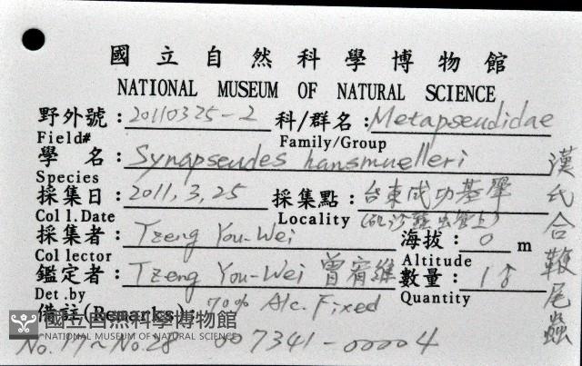 漢氏合鞭尾蟲藏品圖，第4張
