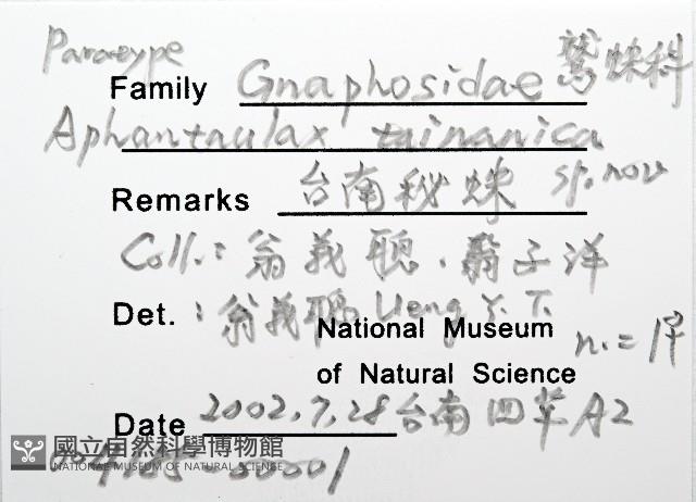 臺灣秘蛛藏品圖，第4張
