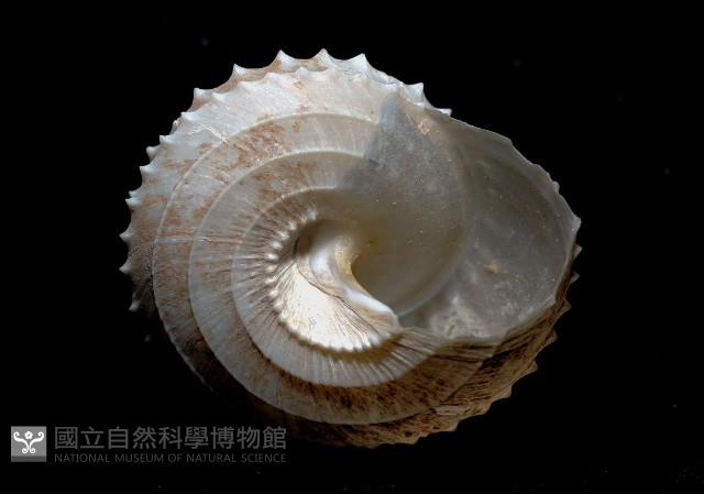 登錄號:005770-00001藏品圖，第4張