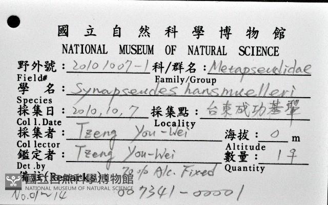 漢氏合鞭尾蟲藏品圖，第4張