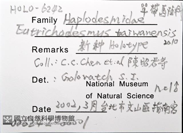 新種單帶馬陸藏品圖，第4張