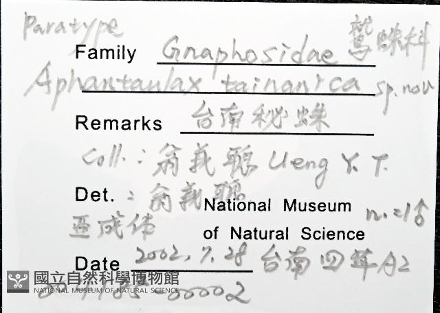 臺灣秘蛛藏品圖，第4張