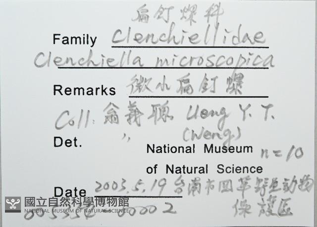 微小扁釘螺藏品圖，第4張