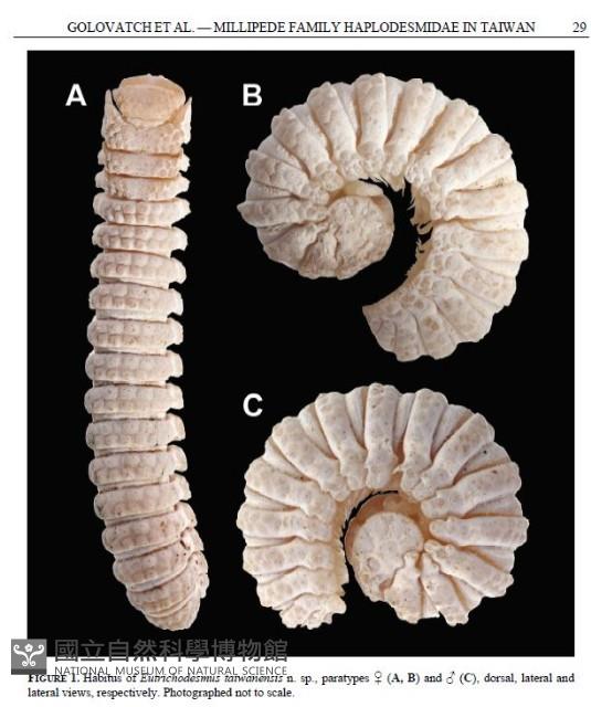 Accession Number:006242-00002 Collection Image, Figure 4, Total 8 Figures