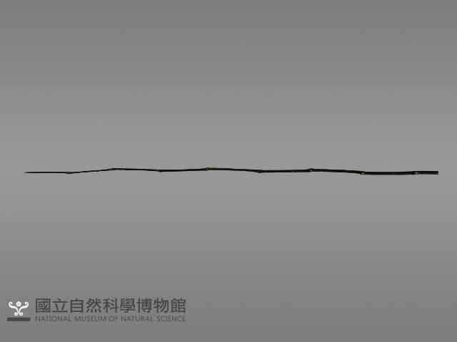 上掛葫蘆小祭桿藏品圖，第4張