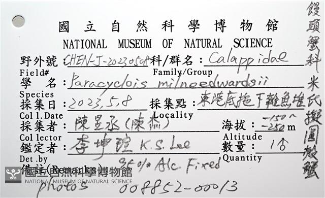 米氏擬圓殼蟹藏品圖，第24張