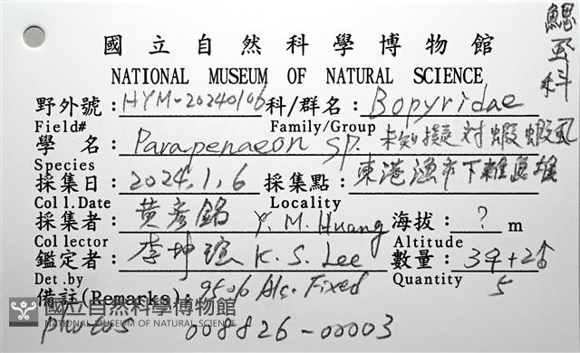 未知種擬對蝦蝦虱藏品圖，第24張
