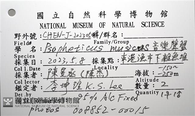 音樂聲蟹藏品圖，第24張