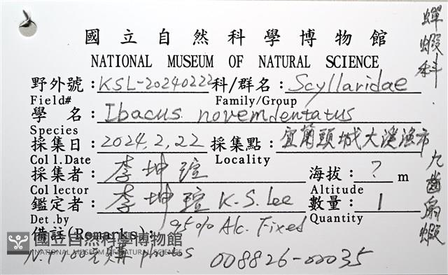 九齒扇蝦藏品圖，第24張