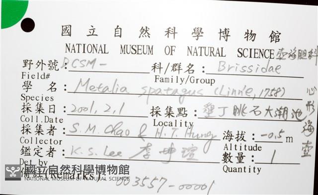 心形海壺藏品圖，第24張