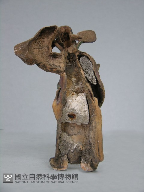 八角斗藏品圖，第136張