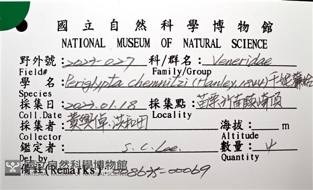 千妮簾蛤藏品圖，第16張