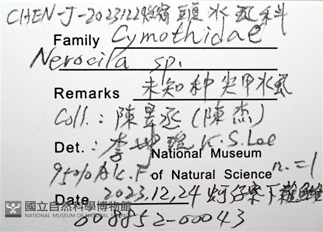未知種尖甲水虱藏品圖，第16張