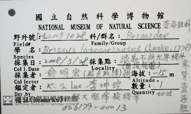 脊背壺海膽藏品圖，第16張
