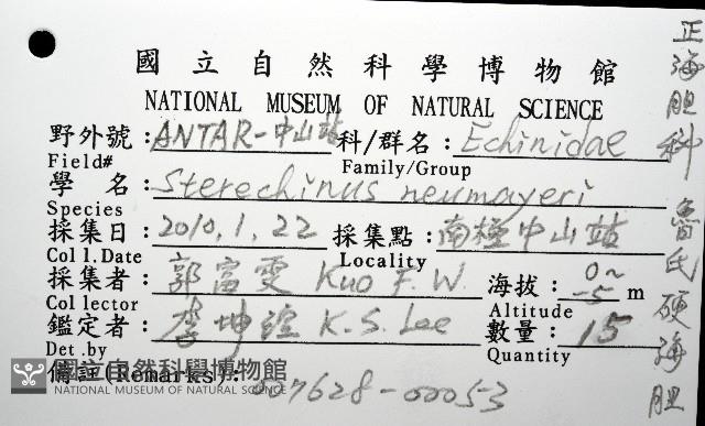 魯氏硬海膽藏品圖，第16張