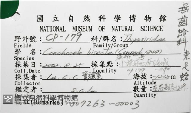 索足蛤藏品圖，第16張