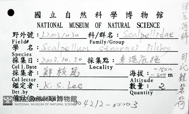 司氏鎧茗荷藏品圖，第16張