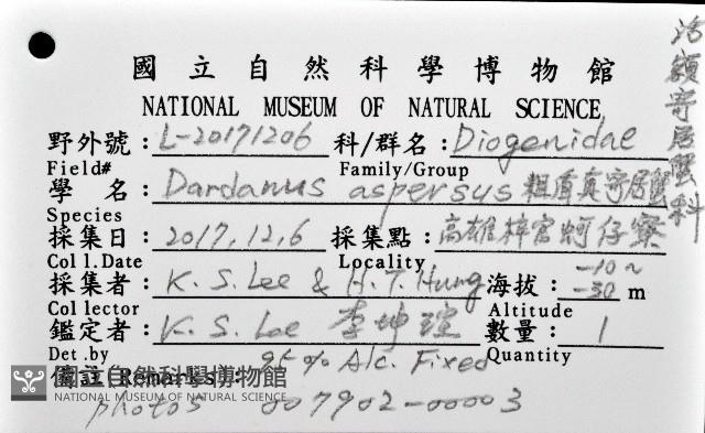 粗盾真寄居蟹藏品圖，第16張