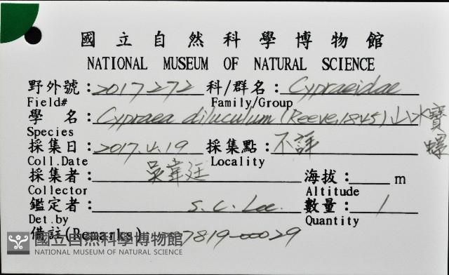 山水寶螺藏品圖，第16張