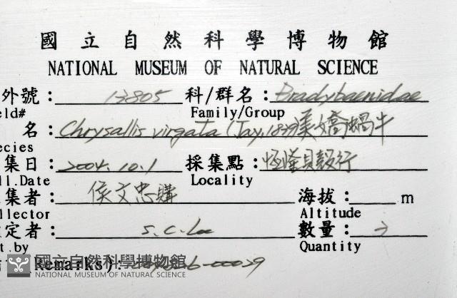 美嬌蝸牛藏品圖，第16張
