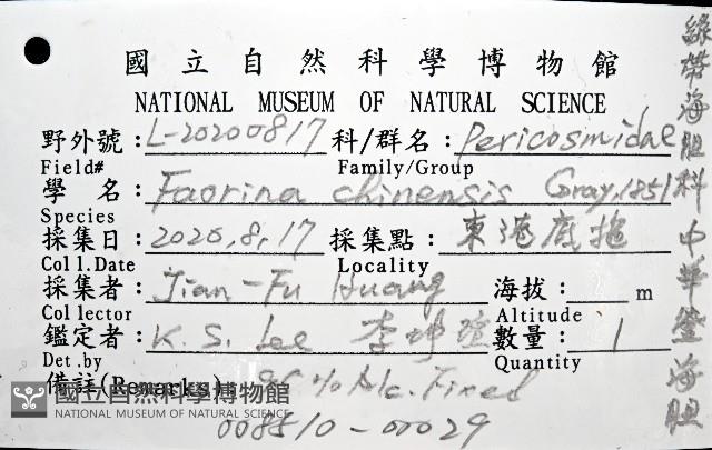中華釜海膽藏品圖，第16張