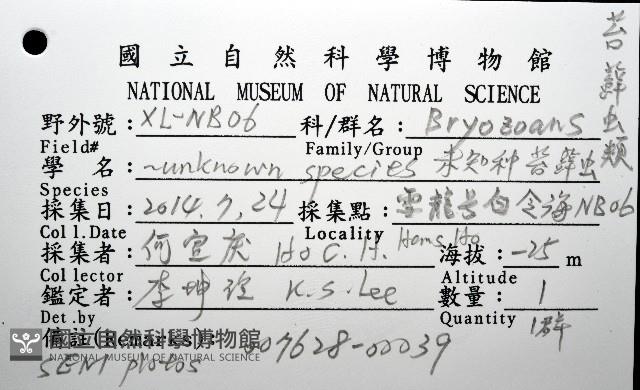 未知種苔蘚蟲藏品圖，第16張