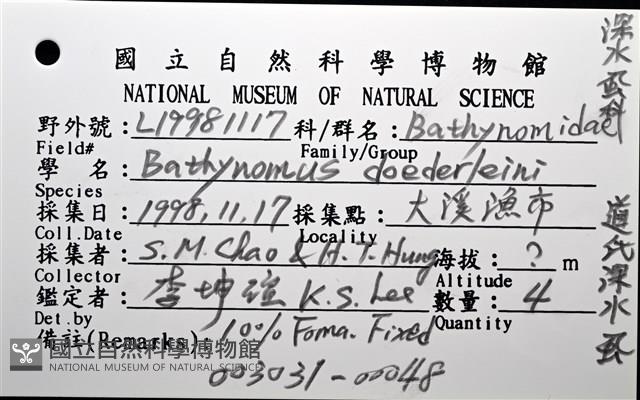 道氏深水虱藏品圖，第16張