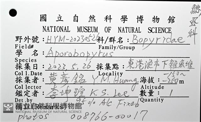 逆背阿波羅鰓虱藏品圖，第16張