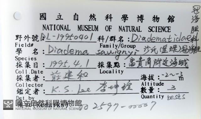 沙氏(藍環)冠海膽藏品圖，第16張