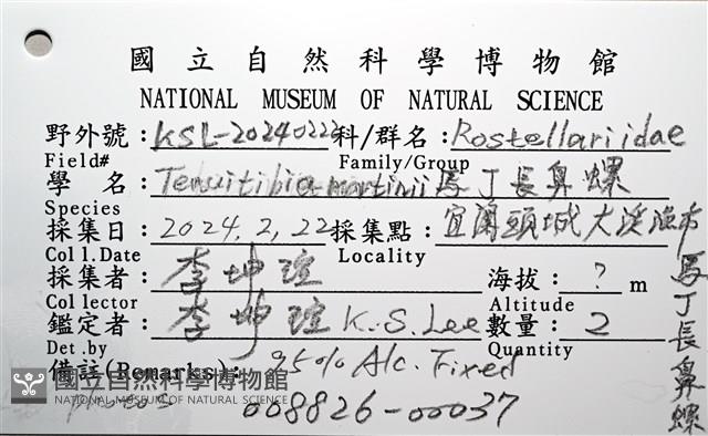 馬丁長鼻螺藏品圖，第16張