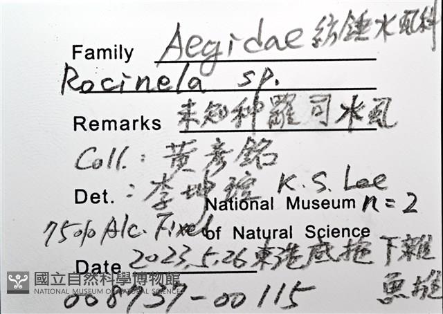 未知種羅司水虱藏品圖，第16張