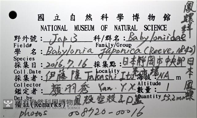 日本鳳螺藏品圖，第16張