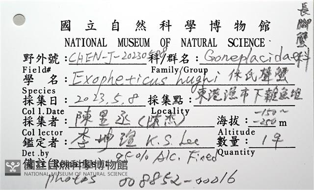 休氏聲蟹藏品圖，第16張