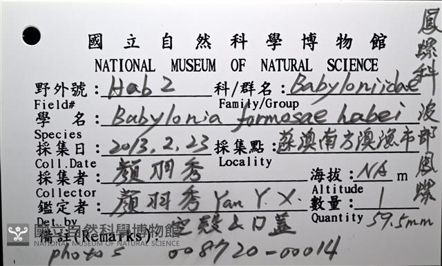 波部鳳螺藏品圖，第16張