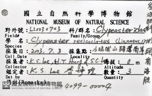 網楯海膽藏品圖，第16張