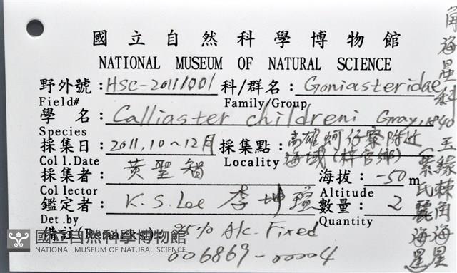 玉緣棘角海星(紫氏麗海星)藏品圖，第16張