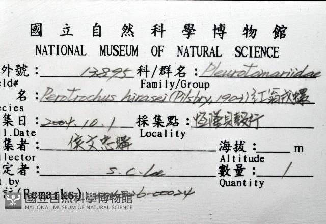 紅翁戎螺藏品圖，第16張