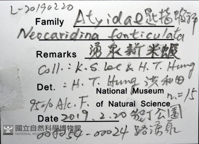 湧泉新米蝦藏品圖，第16張