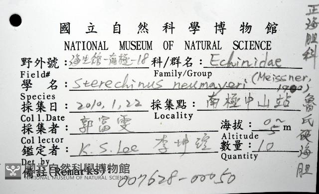 魯氏硬海膽藏品圖，第16張