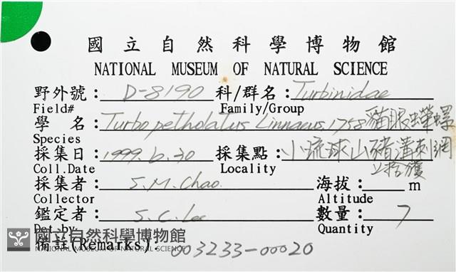 貓眼蠑螺藏品圖，第16張