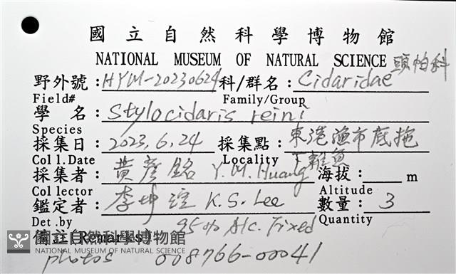 刺柄頭帕藏品圖，第16張