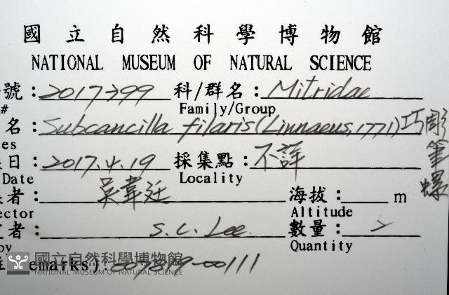 巧彫筆螺藏品圖，第16張