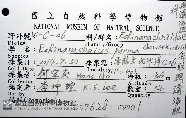 盾形網溝海膽藏品圖，第16張